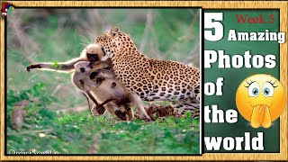 preview picture of video 'Week-6 :- Top 5 photos of the world | learn photography in hindi | best video for photographers |'