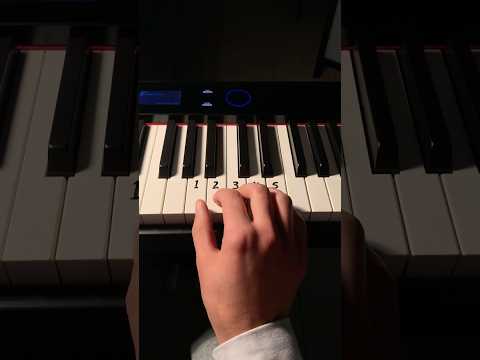 A simple melody that sounds complicated 🖤 This tutorial was made with the Casio Privia PX-S7000