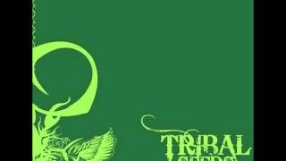 Tribal Seeds - Dark Angel
