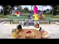 RADIO DISNEY RD DOGZ 90