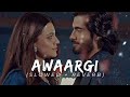 Zindagi Awargi Hai Jhoom OST Slowed Reverb Song