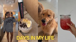 VLOG: typical days at home, nature’s Gatorade, prenatal chiro appt, easy meals & ninja creami