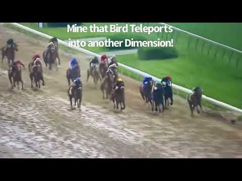50-1 Odds Mine that bird teleports Into another dimension￼ Kentucky derby 2009￼