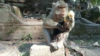 VID20250107142950 short 7