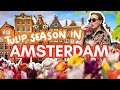 Weekend In AMSTERDAM During TULIP SEASON Low Budget Things To Do