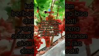 Download lagu kelezatan dalam beribadah #sholawat #motivation #inspiration #bersyukur #ramadhan #religion mp3 Download lagu kelezatan dalam beribadah #sholawat #motivation #inspiration #bersyukur #ramadhan #religion mp3