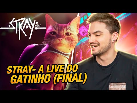 FELIPE NETO JOGANDO STRAY - O jogo do gatinho #2 (O FINAL)