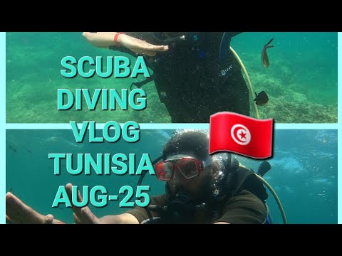 ♾️ SCUBA DIVING MONASTIR, TUNISIA 🇹🇳 VLOG Aug 2025 ♾️