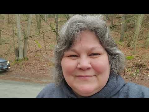 Jug End Rd., Appalachian Trail, Mass.