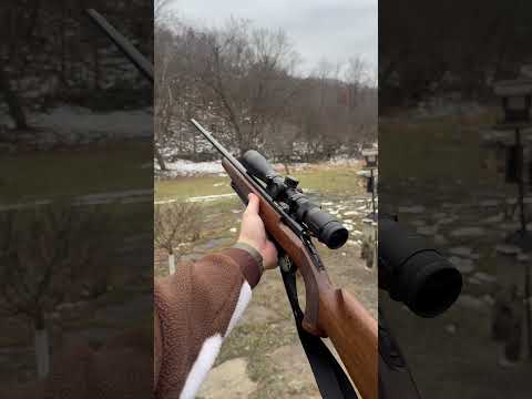 Browning T-Bolt Rimfire Series.