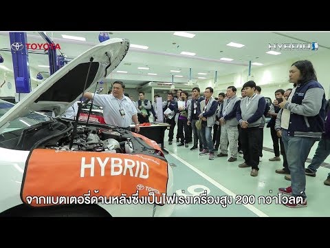 ความอ่อนแอและคอมพิวเตอร์ ความอ่อนแอชายในรอบ 30 ปี