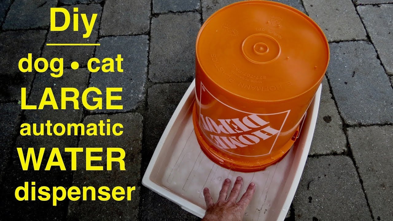 Watch video Diy ● 5 Gallon DOG Water Station Now Diy ● 5 Gallon DOG Water Station