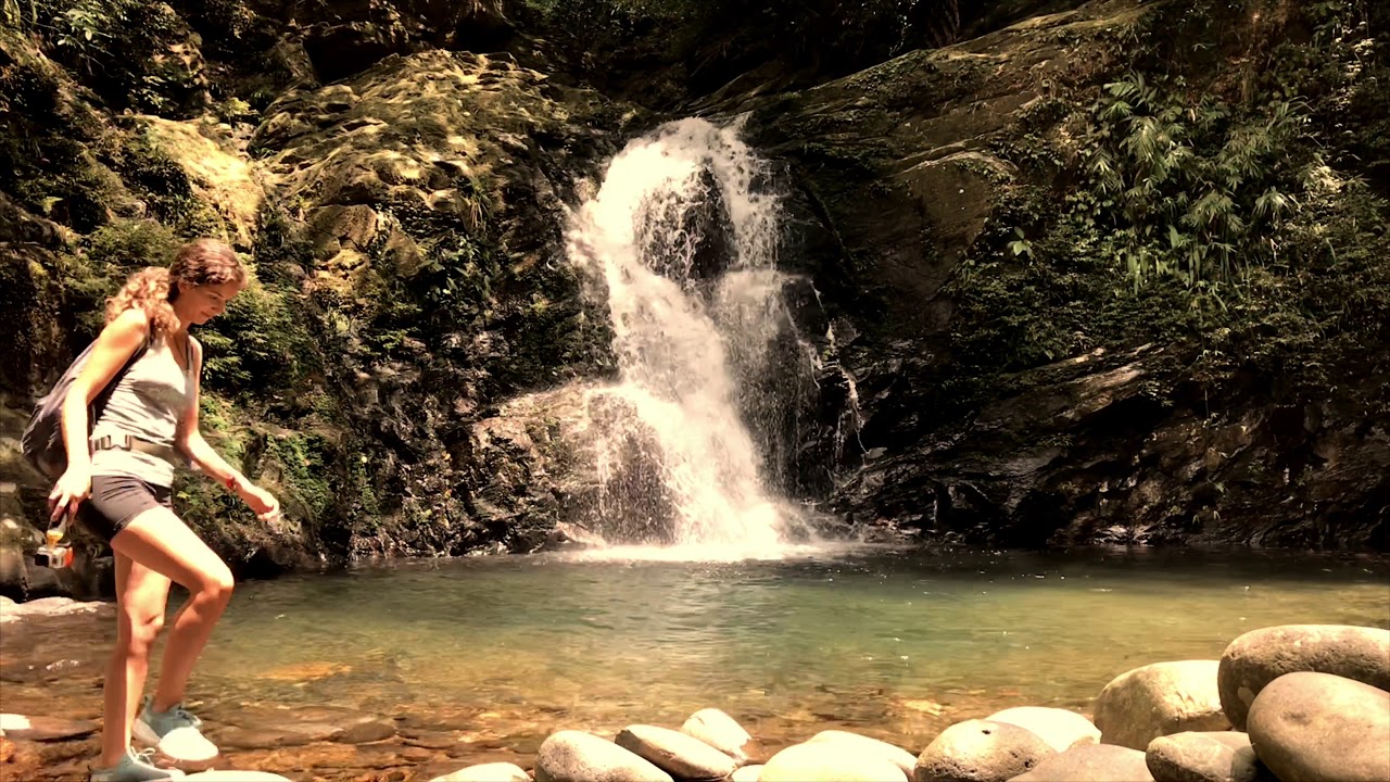 Discover a captivating glimpse of Bach Ma National Park.