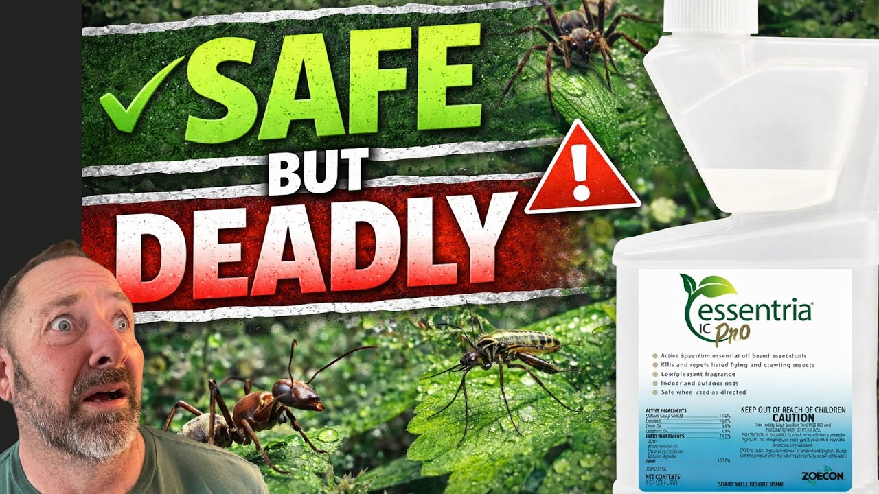 Spring Pest Control the NATURAL Way 🌿 Kill Bugs Fast with Essentria IC Pro