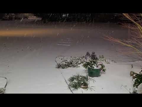 7° and Still Snowing - Dallas Texas 2-15-2021