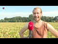 Oogstcamping strijkt opnieuw neer in Flevoland