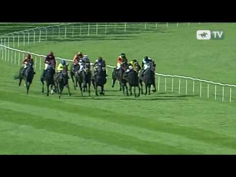 12.06.2010 (D16;G5; tor: 2,3; 29°C)