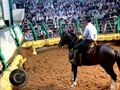 Freio de Ouro 2015 /Prova de Mangueira