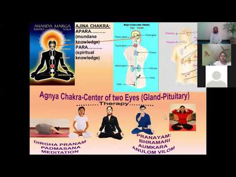 Yoga Biopsychology Intro Class - 8th June, 2020