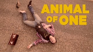 The Fresh & Onlys - Animal of One [OFFICIAL VIDEO]