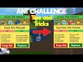 Bee Swarm Simulator Ant Challenge Tips And Tricks