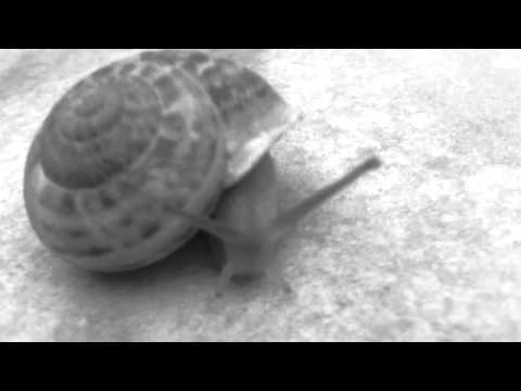 roland klinkenberg & dj remy - mexico can wait (tom watts rmx)