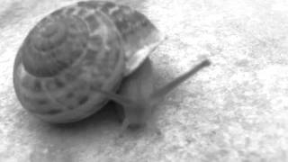 roland klinkenberg & dj remy - mexico can wait (tom watts rmx)