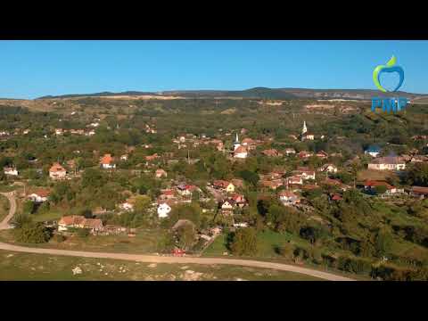 Proiecte pentru satul Cheia - PMP Mihai Viteazu