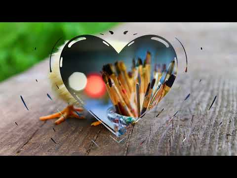 Garina 92   Paulo Flores