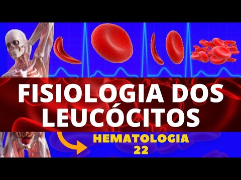 LEUCÓCITOS - FISIOLOGIA E ESTRUTURA (GLÓBULOS BRANCOS) - HEMATOLOGIA