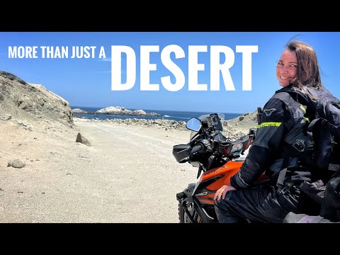 Southbound on the Peruvian Coast 🇵🇪 Puerto Inca → Camaná 🛵🌎 [S6-Ep17]