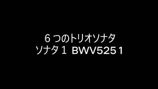 Download lagu トリオソナタ1 bwv525 1 mp3 Download lagu トリオソナタ1 bwv525 1 mp3