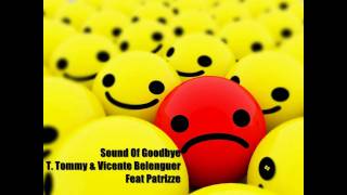 T. Tommy & Vicente Belenguer Feat Patrizze - Sound Of Goodbye