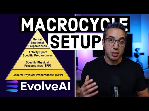 Setting Up a Macrocycle in EvolveAI