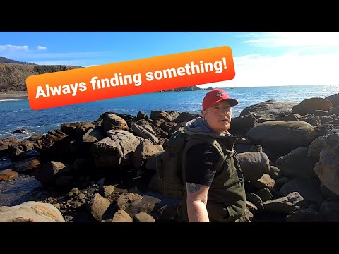Exploring the Tide Pools at Fort Ross