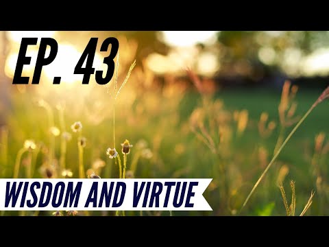 Ep. 43 - Awakening from the Meaning Crisis - Wisdom and Virtue