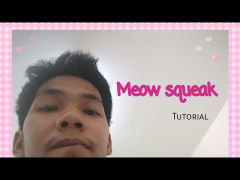 Beatbox tutorial(สอน)​ : meow squeak