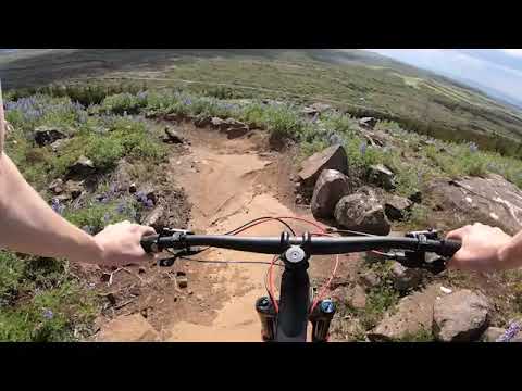 Coronasumarid. feat daft punk