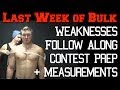 Week 34: Post-Bulk Measurements, Follow Along Contest Prep & My Weaknesses