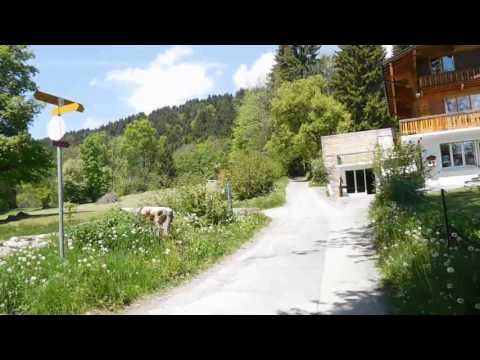 3歳からのボーディングスクール（寄宿学校）プレフルーリ校の自然環境【スイス留学.com】