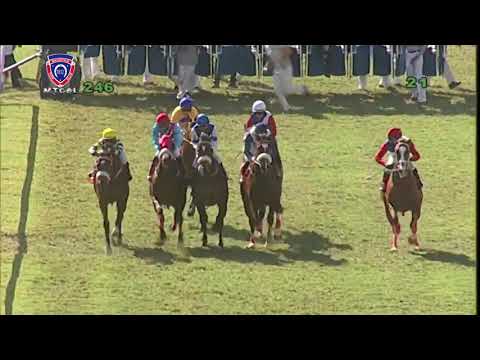 The Princess Margaret Cup | Frosted Gold | P.C.Orffer