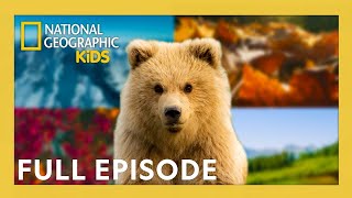 Relax Through the Seasons of America's National Parks 🎶 | 4K | 40 Minutes | @natgeokids #nationalparksweek gameplay video by alucas, 44:03 duration