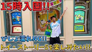 夏イベプレビュー日の東京ディズニーランドを15時から満喫！