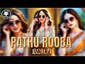 Pathu Rooba Ravikkai DJ MOE LAY TikTok Trending Mix