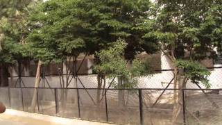 SAMZOO WATER PARK PIX