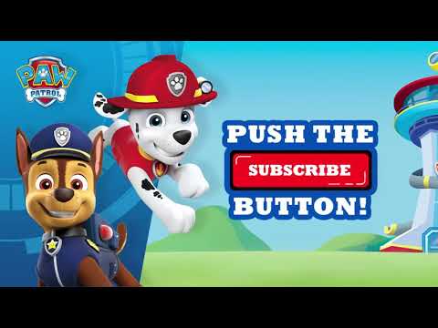 The Trains Go Chugging One By One! – Mighty Express Music Video – PAW Patrol Official & Friends