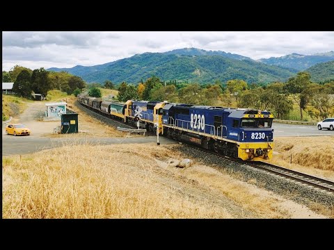 8230 8208  Pacific National grain train Blandford NSW 4-12-2022