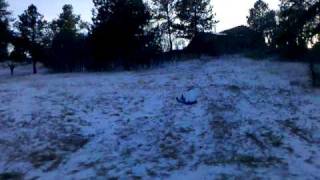 Sledding at toboggan hill, monument, co