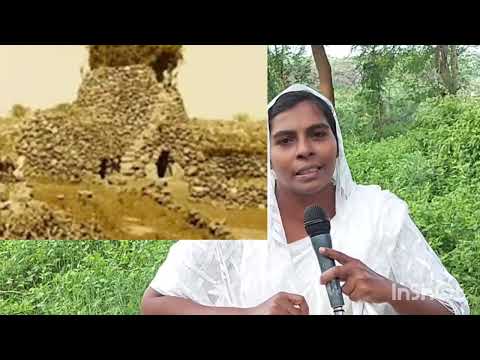 Christmas Greetings / Sis. Mariamma