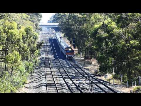 (JBR Great Southern) Journey Beyond Rail Expeditions at Seymour